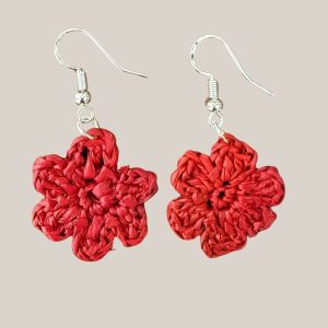 Boucles d'oreilles NTP 001